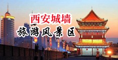 污插视频中国陕西-西安城墙旅游风景区