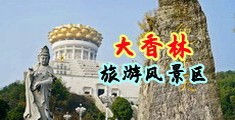 鸡巴大屌艹逼视频中国浙江-绍兴大香林旅游风景区
